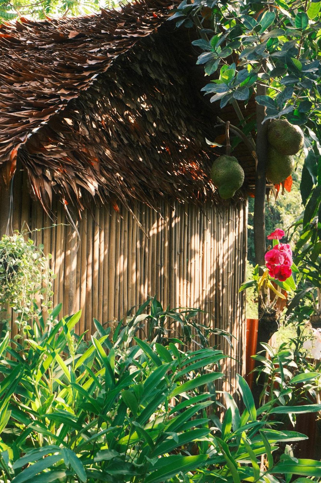 Siem Reap Homesteading II エクステリア 写真