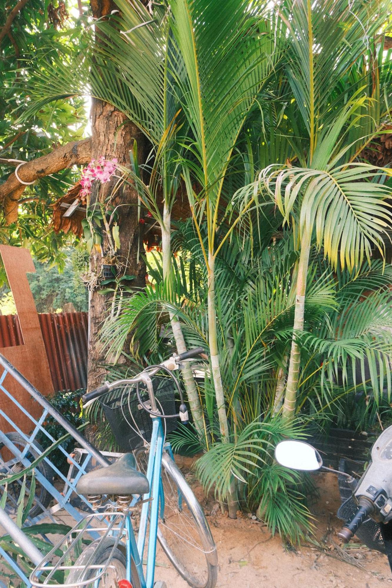 Siem Reap Homesteading II エクステリア 写真